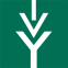 Ivy Tech Community College logo