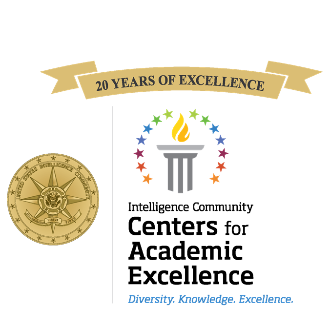 IC CAE Logo