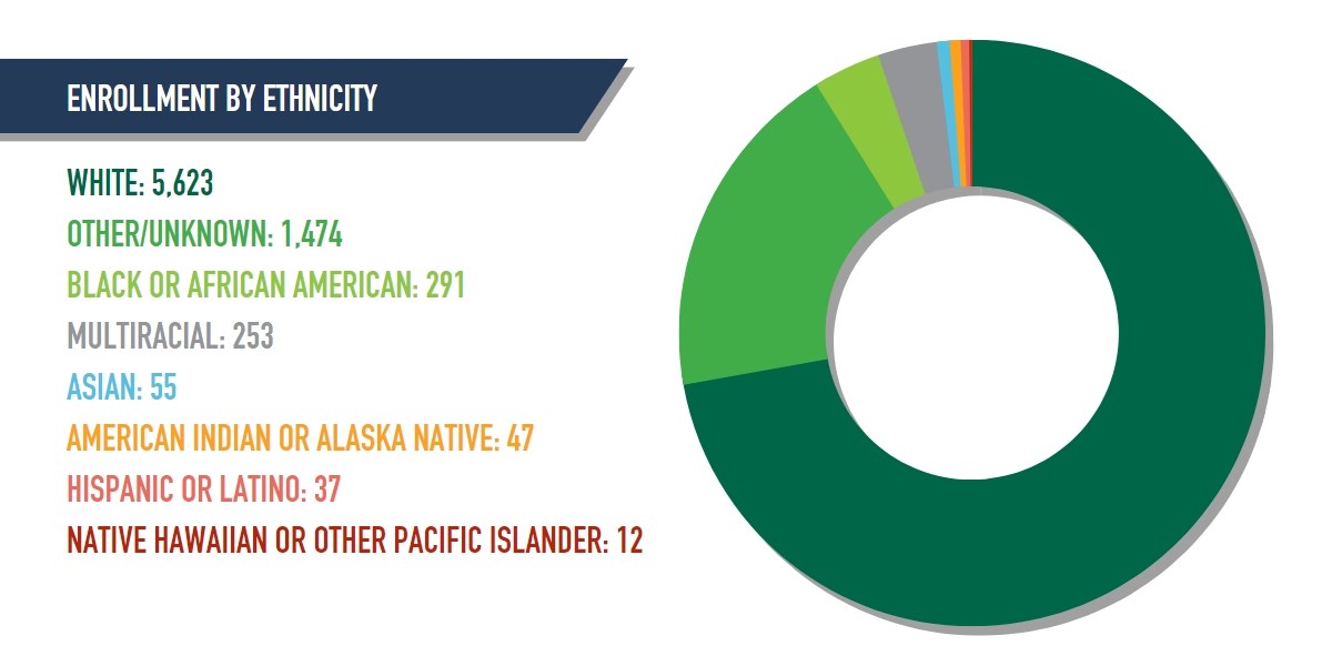 Enrollment by Ethnicity Graph
