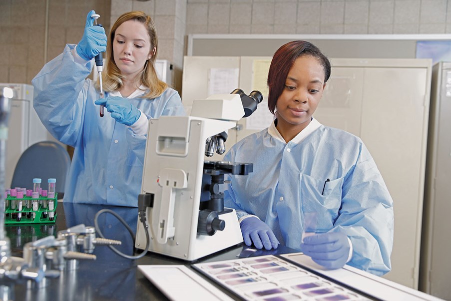 students working in lab
