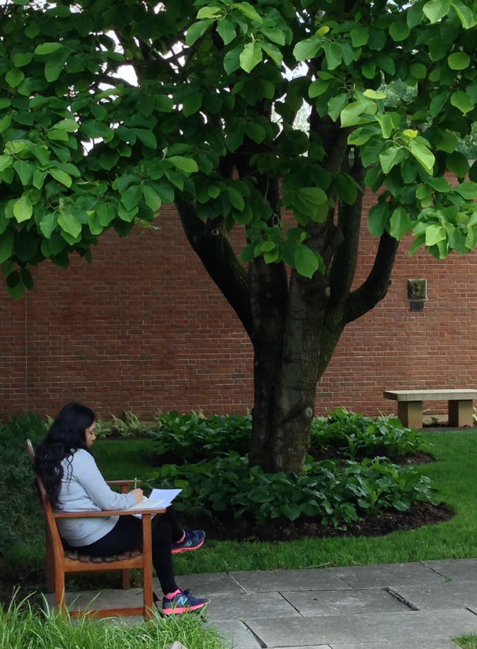 A student sits on a bench under a tree, writing.