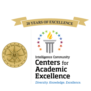 ICCAE Excellence Logo