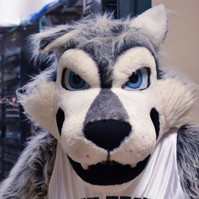 photo of Alpha T. Wolf | Official Mascot of Ivy Tech Lafayette